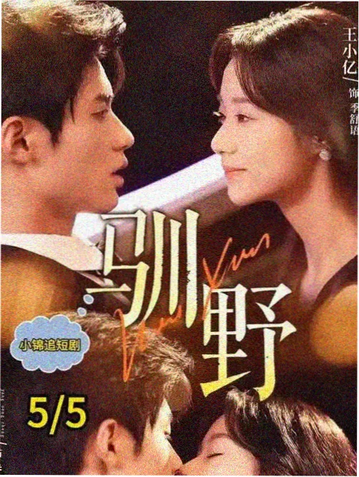 橙花巷的女人们 剧集封面